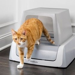 Katzenluxus zum Sparpreis: Automatische Katzentoilette bei Aldi über 160 € günstiger