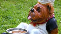 Kann man Hundefutter eigentlich essen?