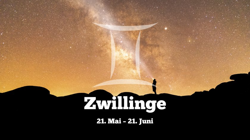 Zwillinge