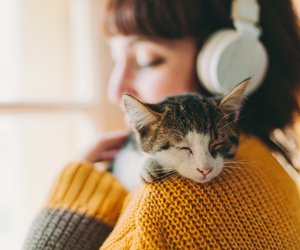 Unsauberkeit bei Katzen: Das steckt laut Expertin dahinter