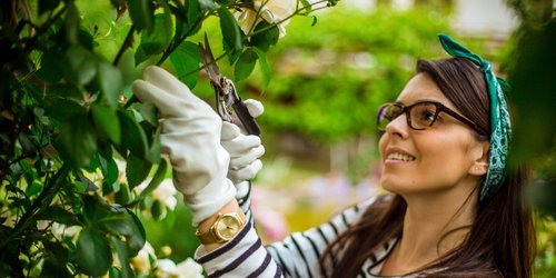 Gartenschere-Test: Diese 5 schneiden präzise und sicher