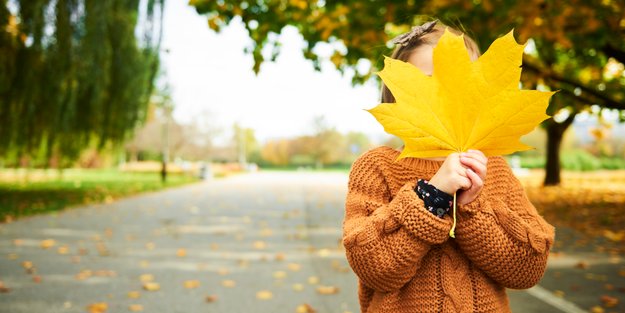 Basteln mit Blättern, Zapfen und Co.: Der Herbst bietet viele Naturmaterialien