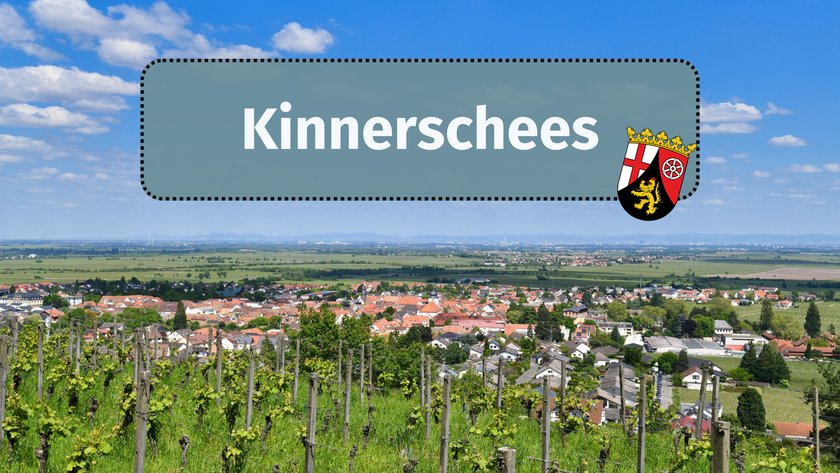 Kinnerschees