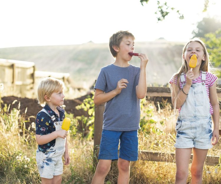 Flecken Entfernen Das Sind Die Besten Tricks Und Tipps Familie De