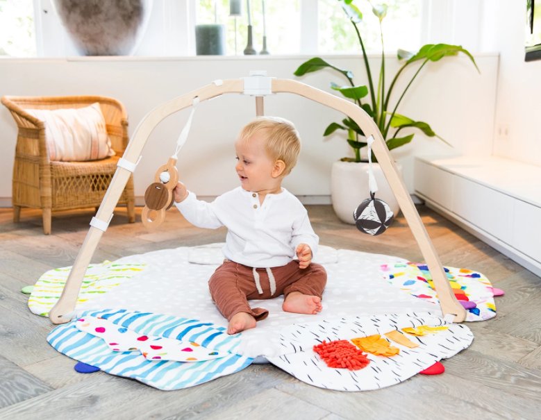 Playgym Lovevery Playgym Lovevery