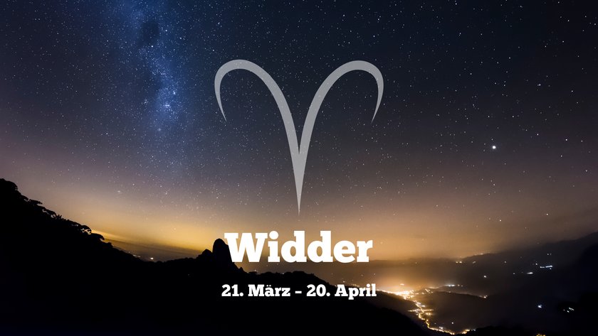 Widder