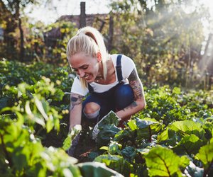 Gartenarbeit im September: Dieses Gemüse könnt ihr jetzt noch aussäen