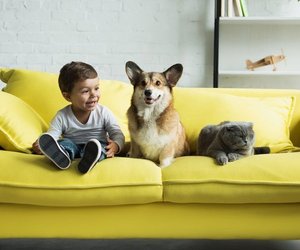 Kinderfilme ab 4: Tierisch gut die Welt entdecken