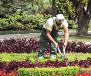 Berufe mit G: So sammelst du Punkte beim Quizzen 