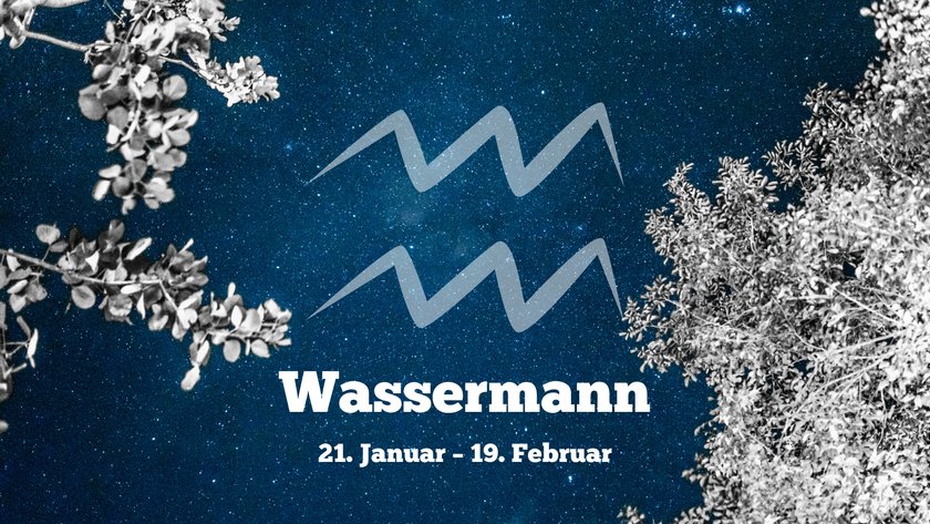 Wassermann