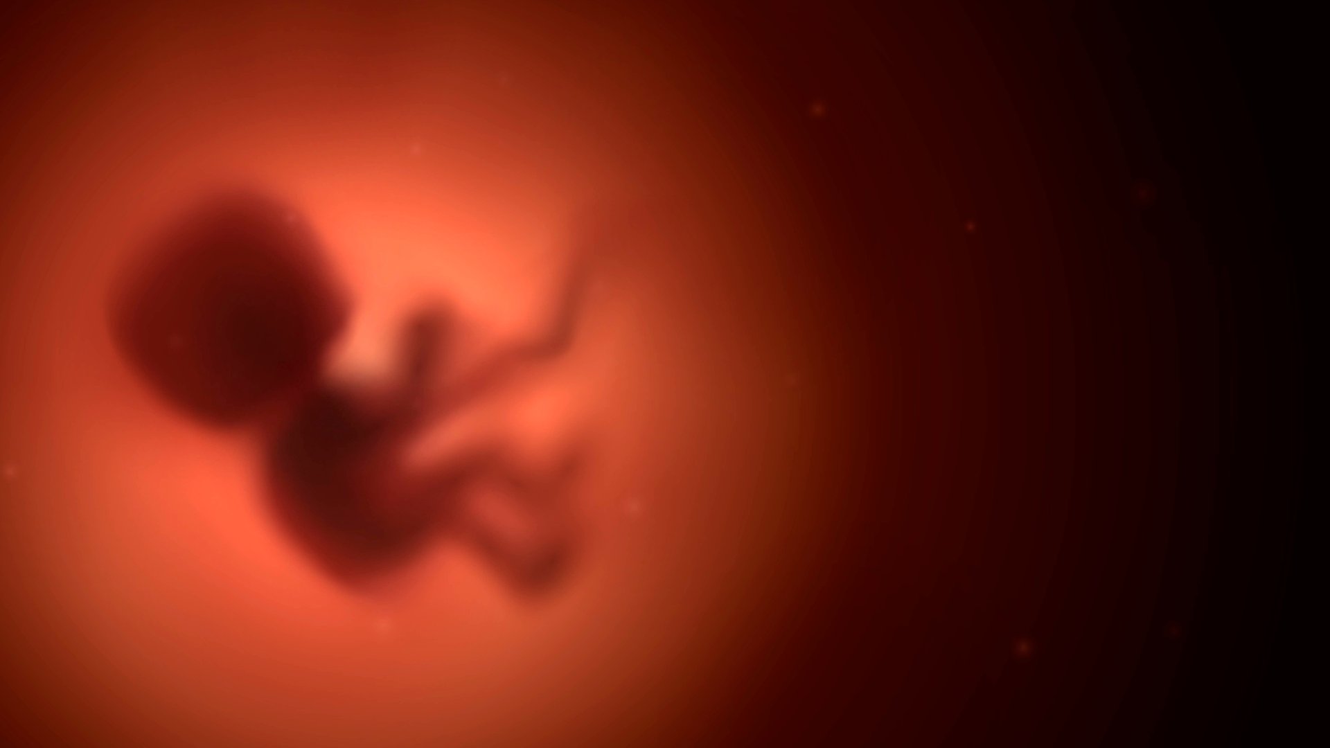 Die Nabelschnur Wofur Sie Da Ist Und Was Sie So Besonders Macht Familie De