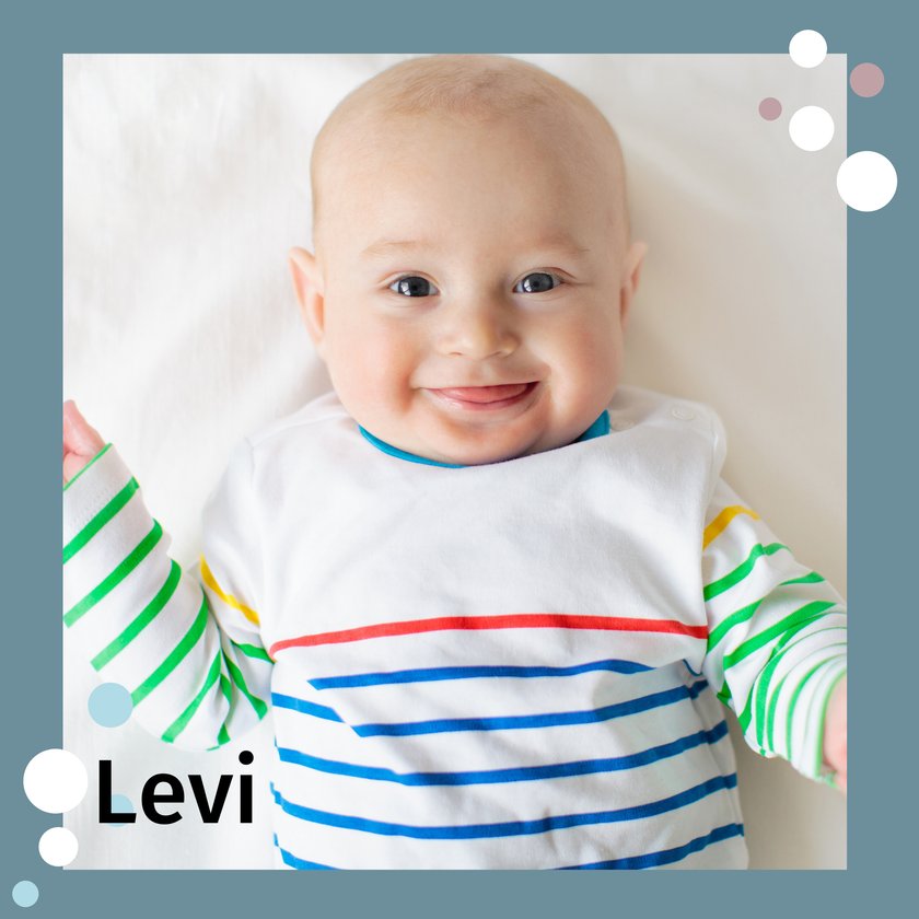 Name Levi