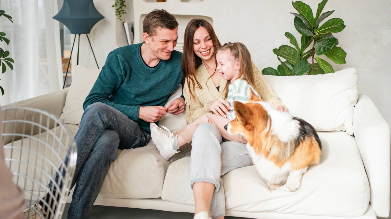 Kuschelzeit auf dem Sofa: Mit diesem Gadget von Amazon ist dein Hund immer dabei.