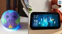 Amazon Echo Dot Kids & Echo Show im Test: Für welche Familien ist Alexa mit und ohne Bildschirm geeignet?