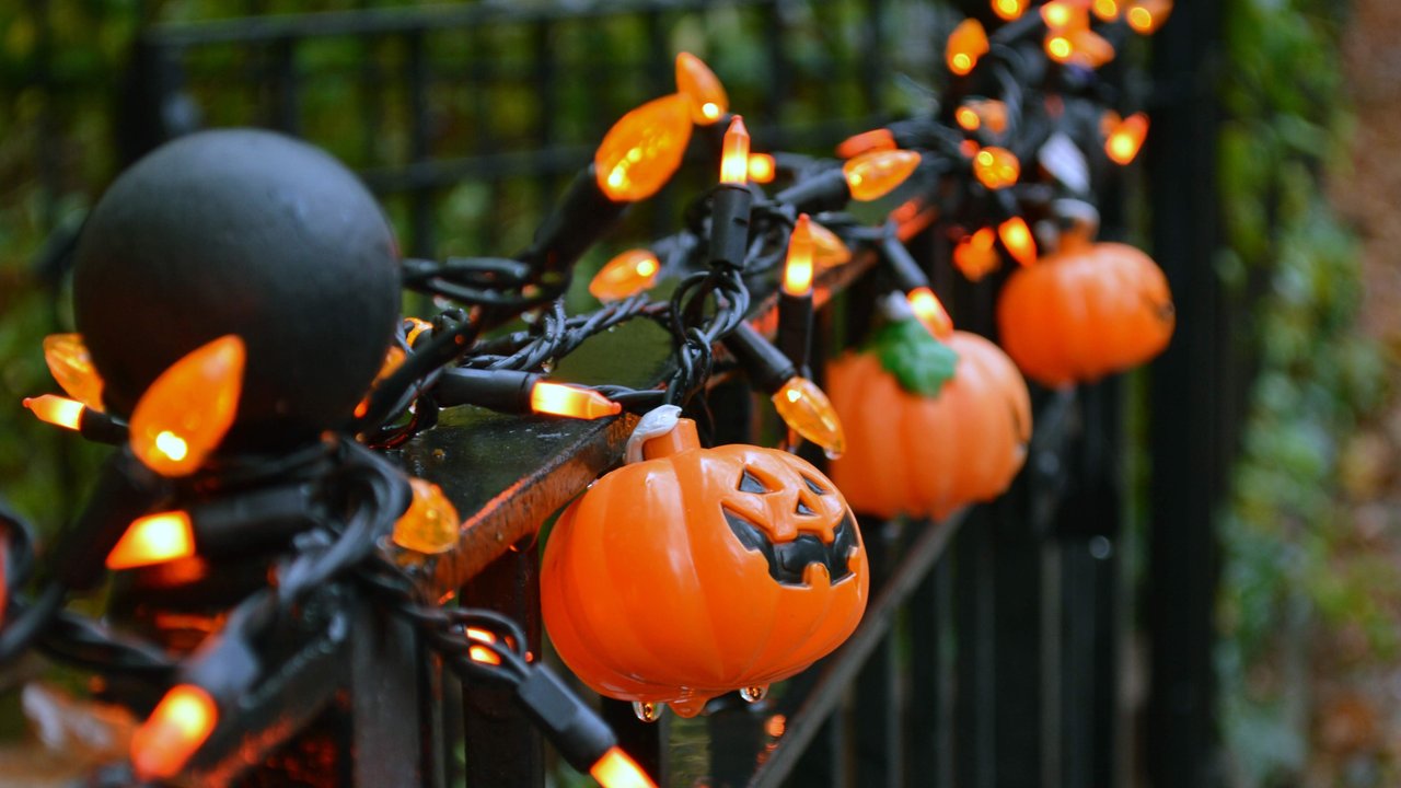 Halloween-Deko für den Garten: 10 gruselig-schöne Ideen für draußen