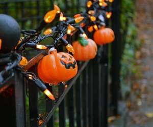 Halloween-Deko für den Garten: 10 gruselig-schöne Ideen für draußen