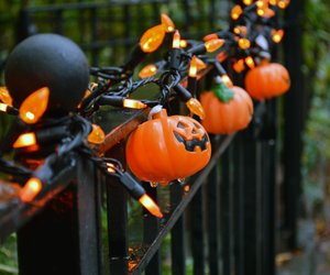 Halloween-Deko für den Garten: 10 gruselig-schöne Ideen für draußen