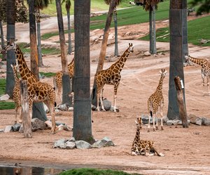 Der größte Zoo der Welt – kindgerecht erklärt