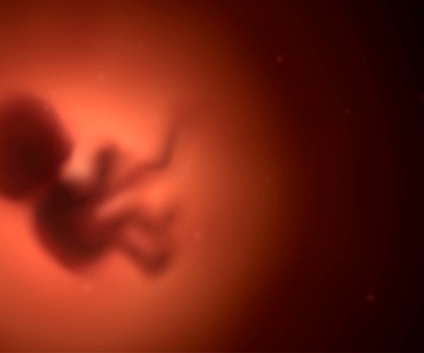 Mutterliebe: So entsteht die Mutter-Kind-Bindung