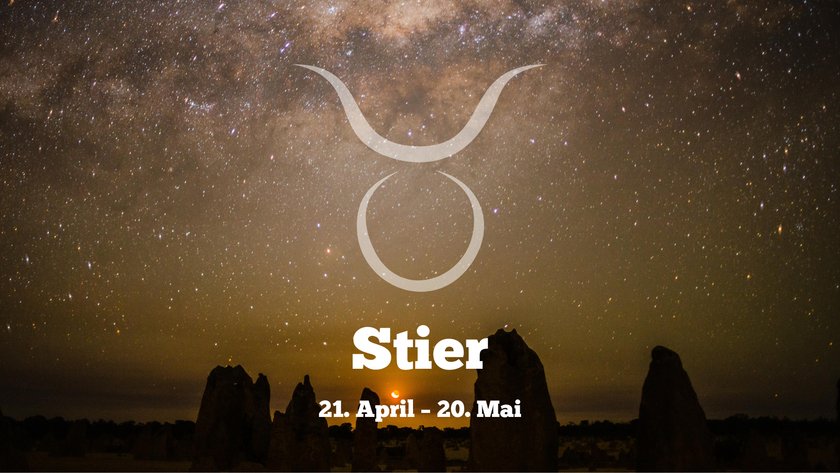 Stier