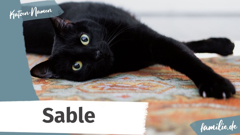 Schwarze Katze Namen: Sable