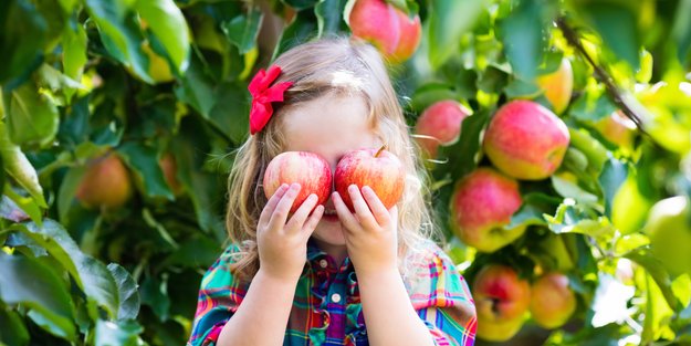 Der Apfel lockt: 7 No Gos beim Äpfel pflücken – und was ihr stattdessen machen solltet