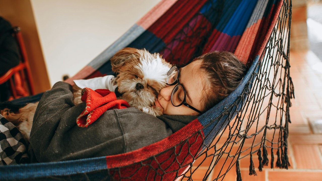 Hund und Mensch haben oft eine innige Verbindung.