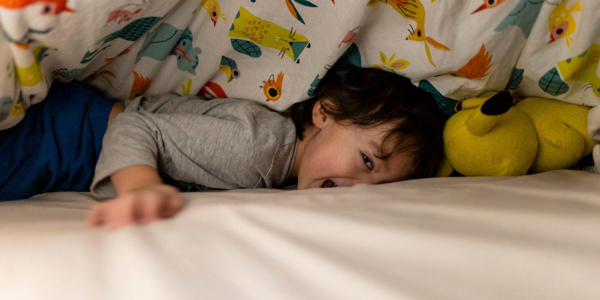 Wenn Gummibärchen gefährlich werden: Stiftung Warentest warnt vor diesem Produkt für Kinder