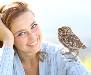 Vogel-Quiz: Weißt du, wie schwer und groß diese Vogelarten sind?