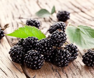 Brombeere fürs Baby: Die rote Superfrucht