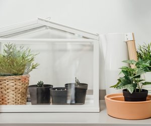 IKEA Socker: 12 coole Ideen für das Mini-Gewächshaus (mit und ohne Pflanzen!)