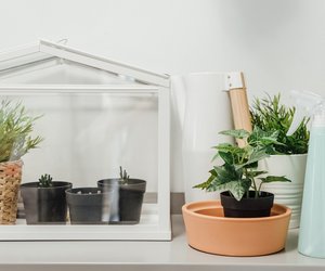 IKEA Socker: 12 coole Ideen für das Mini-Gewächshaus (mit und ohne Pflanzen!)