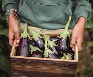 Aubergine roh essen: Ist das Nachtschattengewächs geeignet?