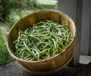 Grüne Bohnen würzen: So gelingen dir raffinierte Rezepte