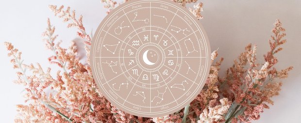 Astro-Flower: Das ist die perfekte Blume für dein Sternzeichen