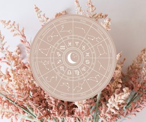 Astro-Gärtnerei: Finde die perfekte Blume für dein Sternzeichen