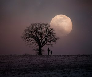 Dreht sich der Mond im Weltall und wie beeinflusst er die Erde?