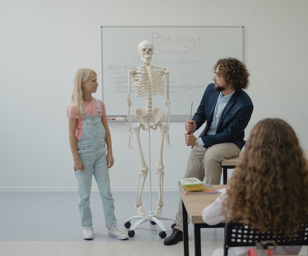 Nachgefragt: Wie viele Knochen hat ein Kind?