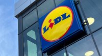 Diese Solarleuchten von Lidl sind ein Hingucker für Garten und Balkon