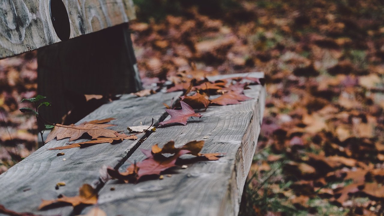 Verlassene Bank im Herbst, mit Laub als Symbol der Vergänglichkeit.