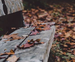 Feiertage November: Welche Feier- und Gedenktage stehen uns ins Haus?