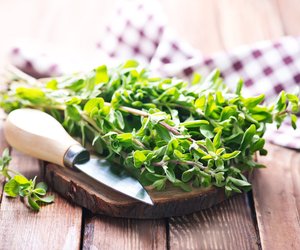 Majoran in der Schwangerschaft: Darf ich damit würzen?