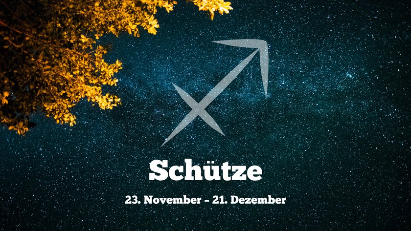 Schütze