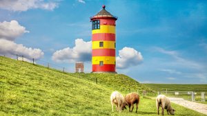 17 humorvolle Ostfriesenwitze: Lachen beim Deichbau garantiert