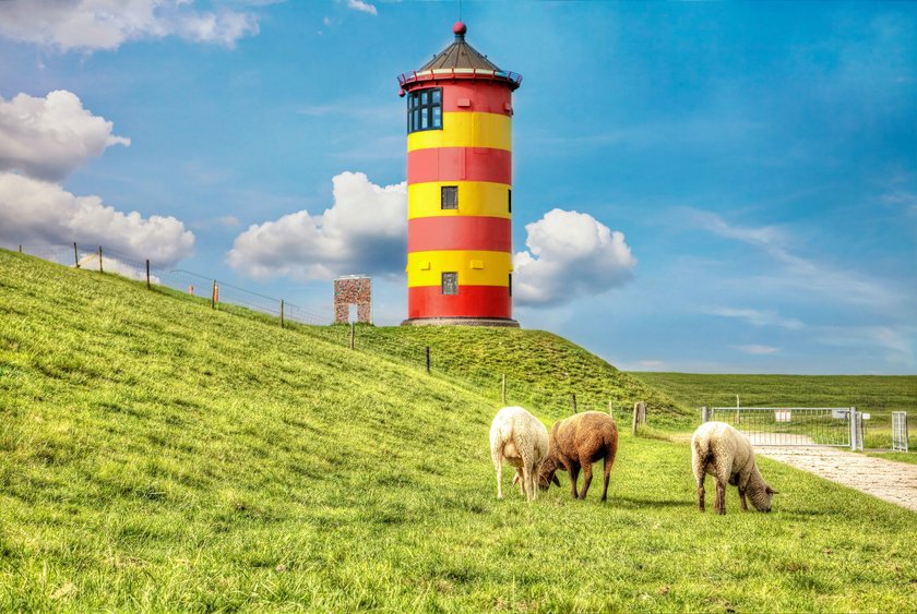 Ostfriesenwitze: Leuchtturm in Gelb und Rot im Hintergrund mit Deich und Schafen