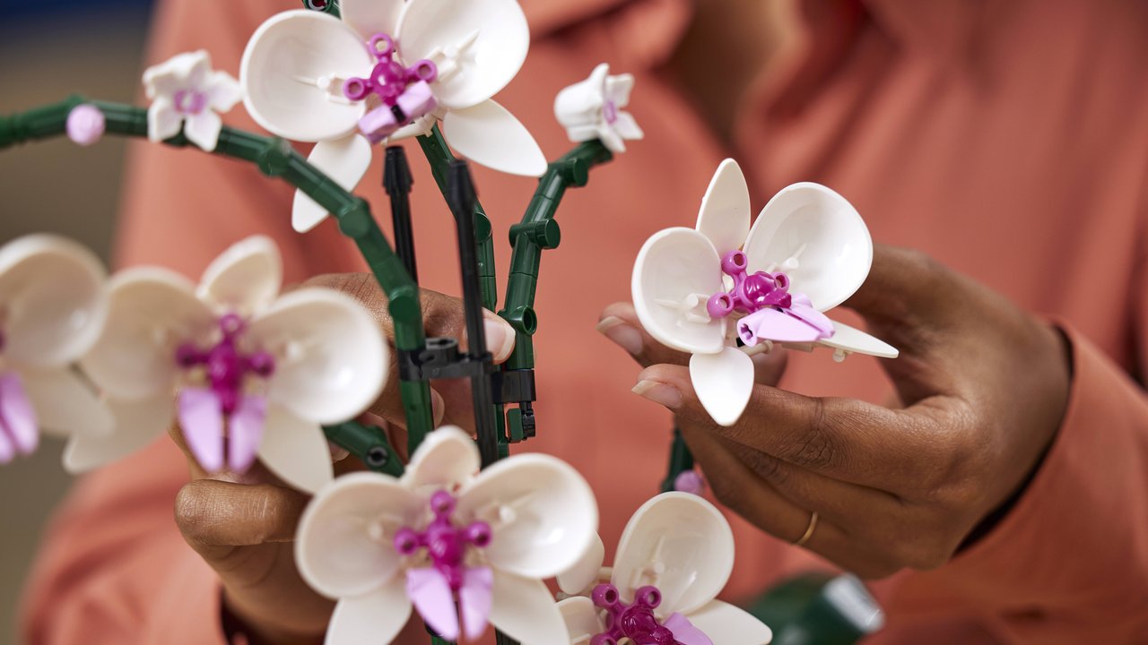 Mit dieser Orchidee von Amazon schenkt ihr eurer Mama eine ewig währende Blütenpracht.