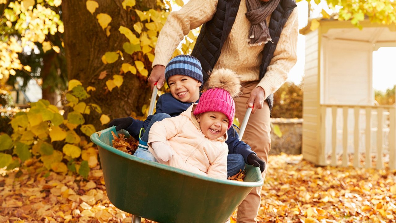 Papa mit Kinds in der Schubkarre im Herbst