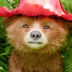 "Paddington in Peru": Warum der Film für alle Familien geeignet ist