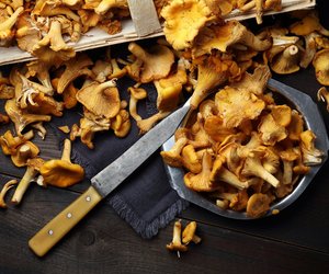 Pfifferlinge einfrieren: Mit diesen Tipps bleiben sie schmackhaft