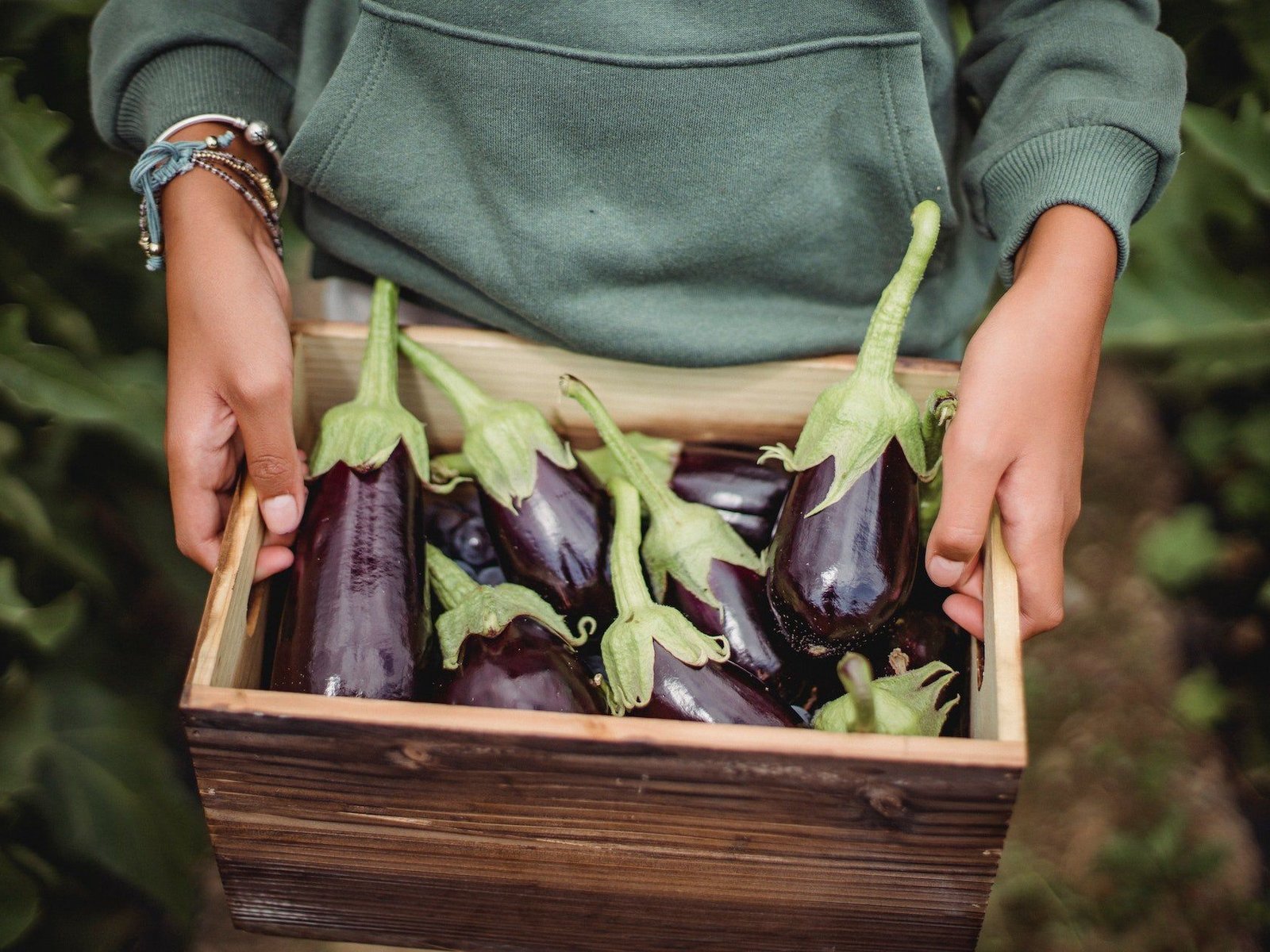 grow aufbewahrung Grove Bags